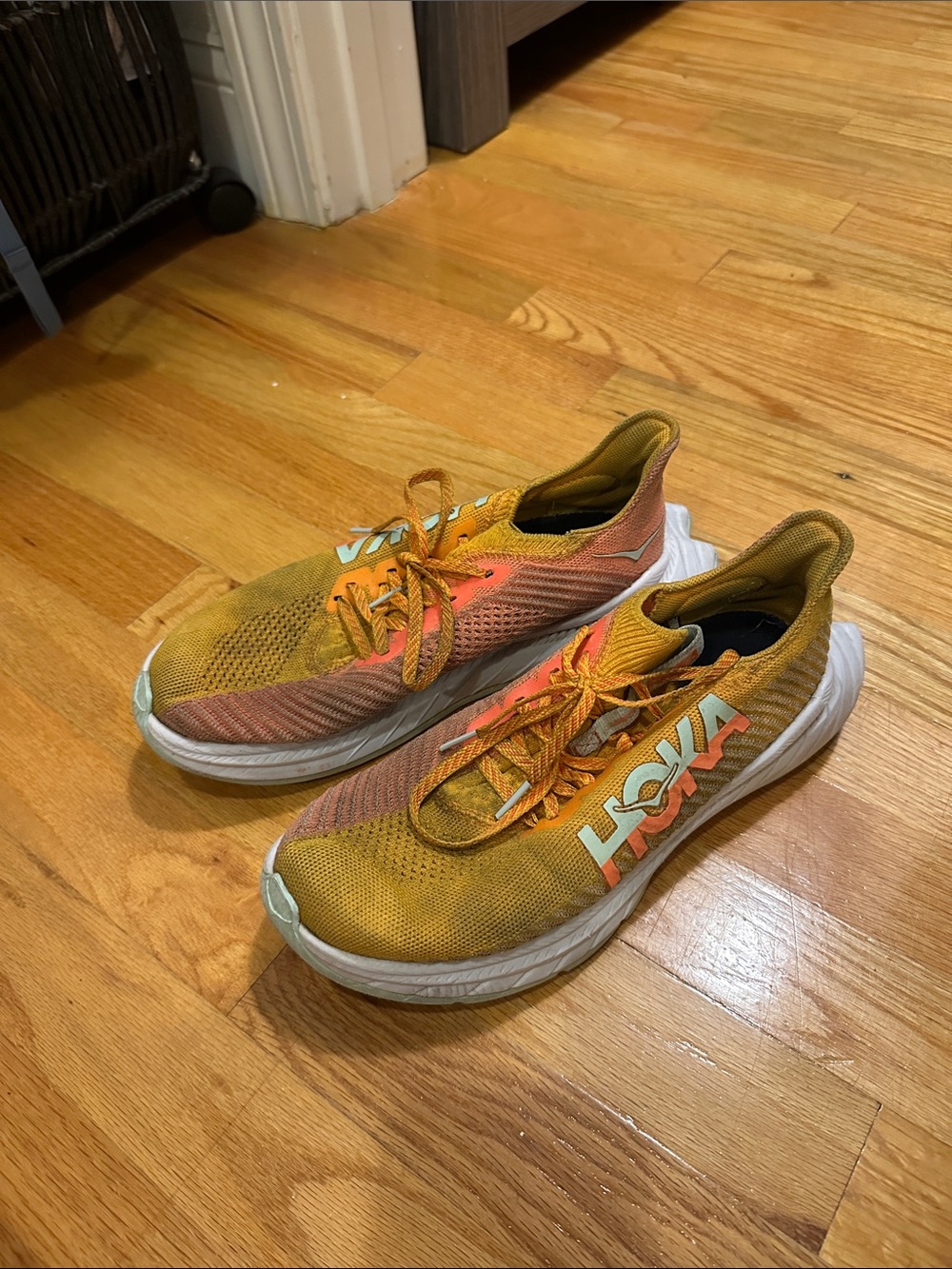 Hoka profly x